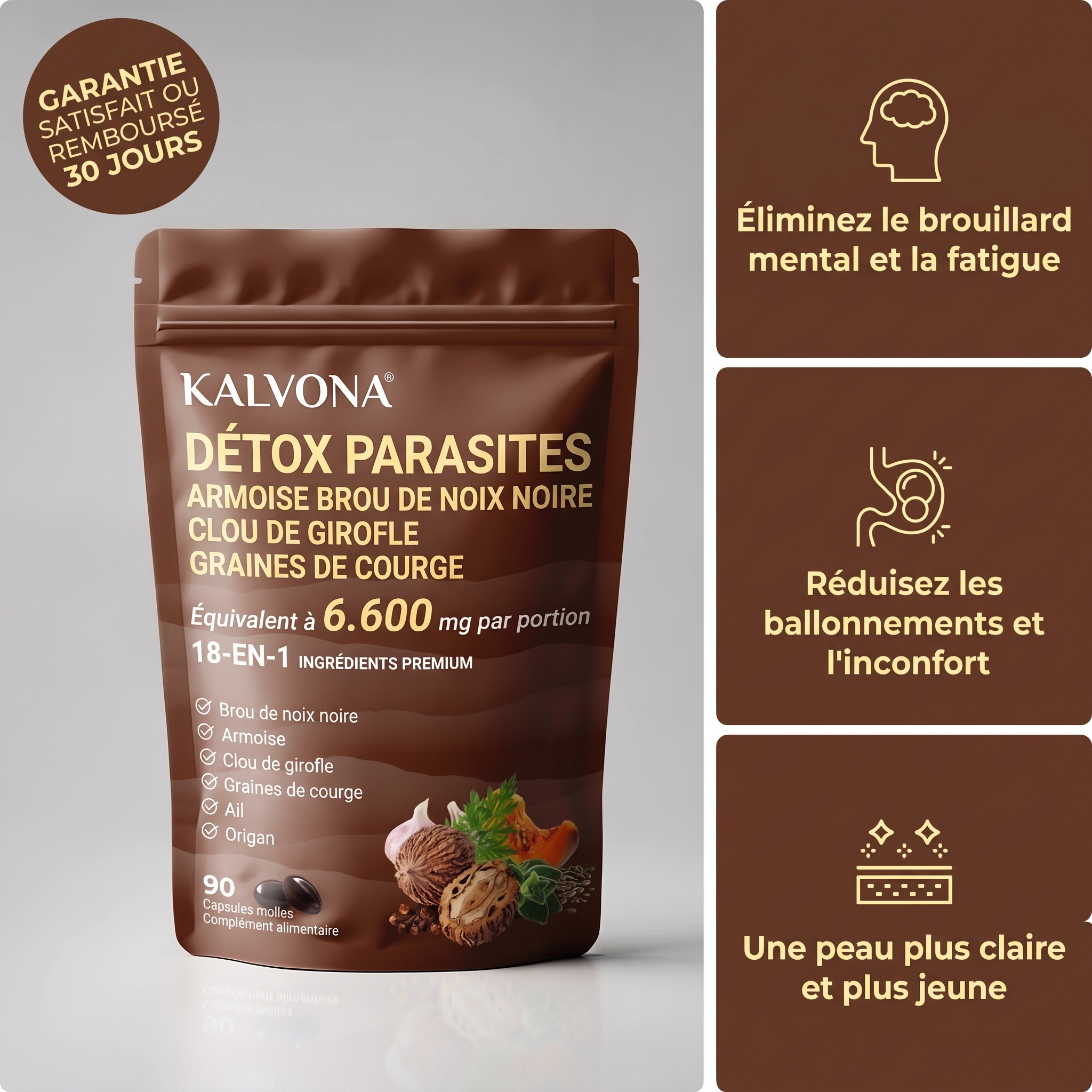 Kalvona Détox Parasites visuel français Nano Banana Pro